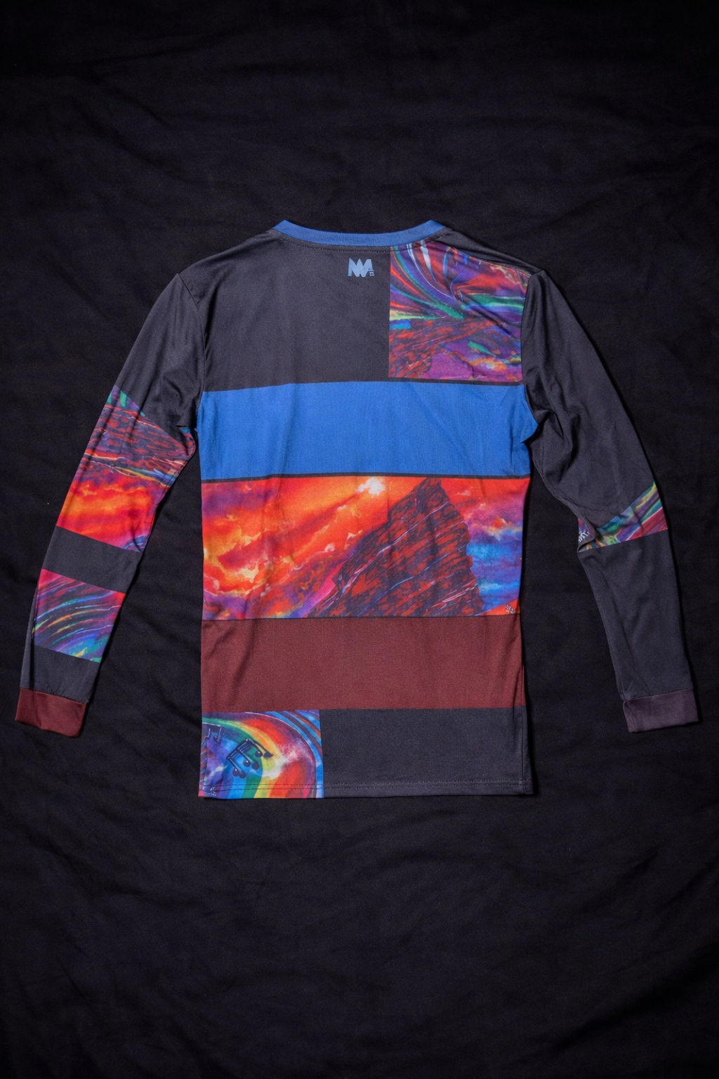 Pride Rocks - Langarm