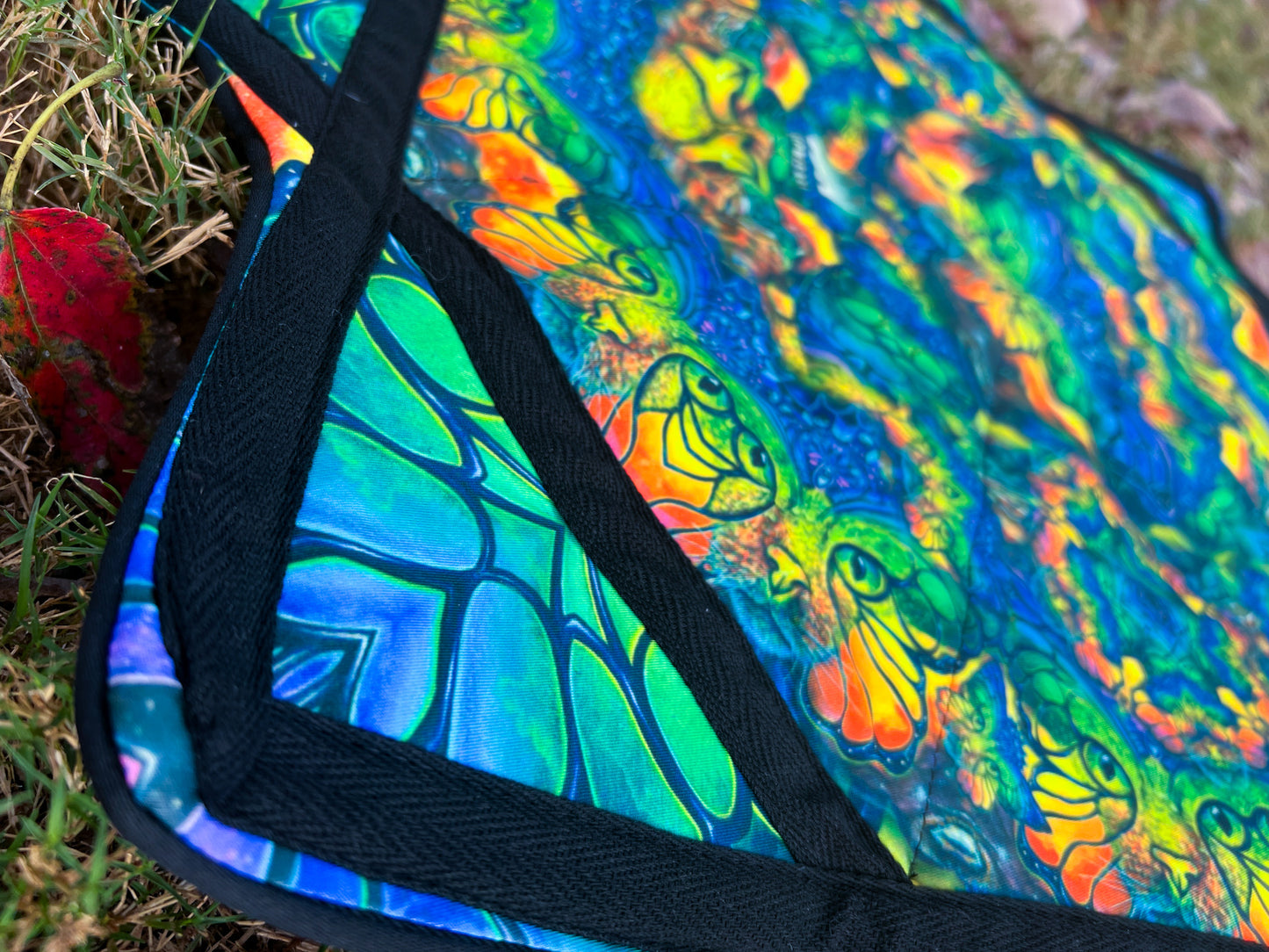 Flow Star: Kittyfly/Space Catterfly Variant