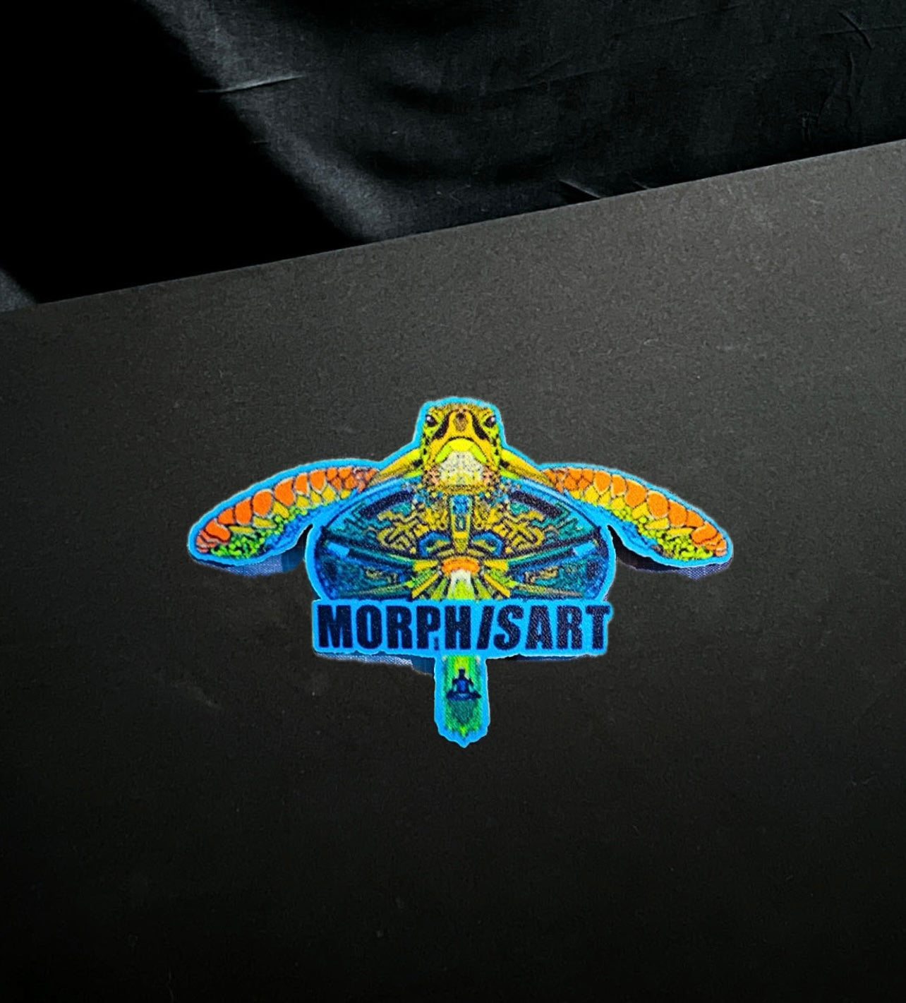 Schildkrötenentführung - Aufnäher