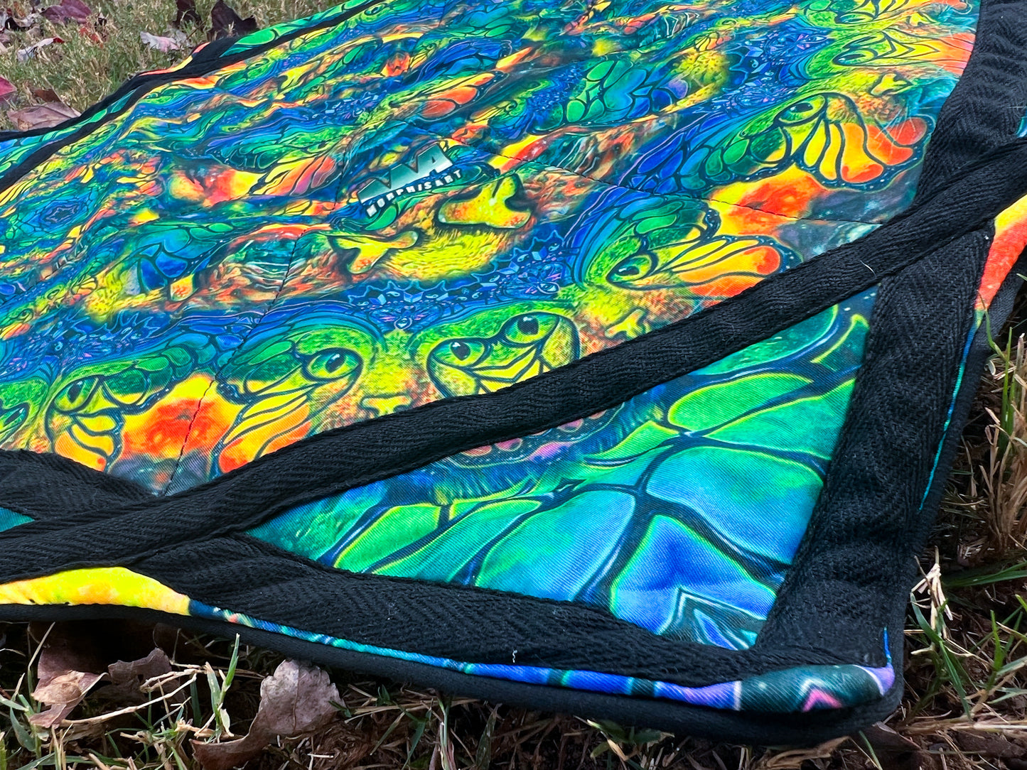 Flow Star: Kittyfly/Space Catterfly Variant