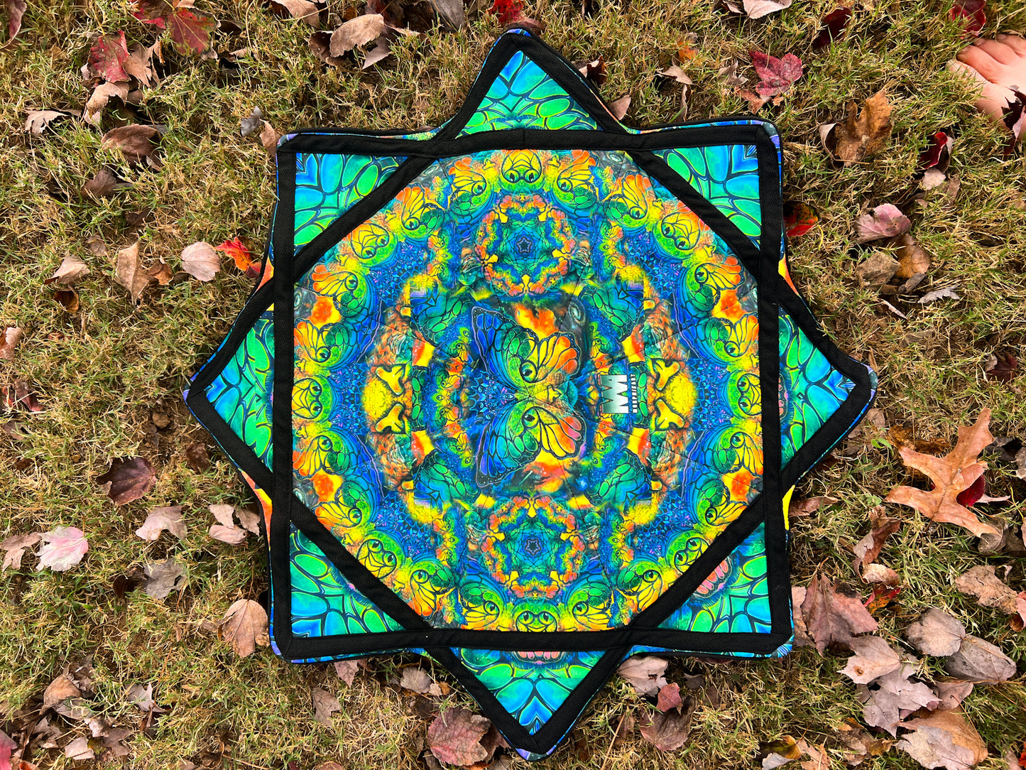 Flow Star: Kittyfly/Space Catterfly Variant