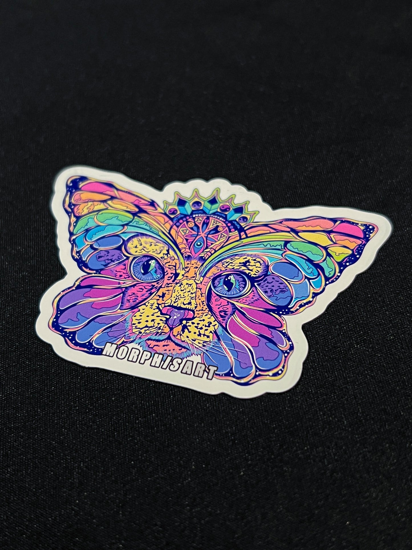 Space Catterfly - Magnets