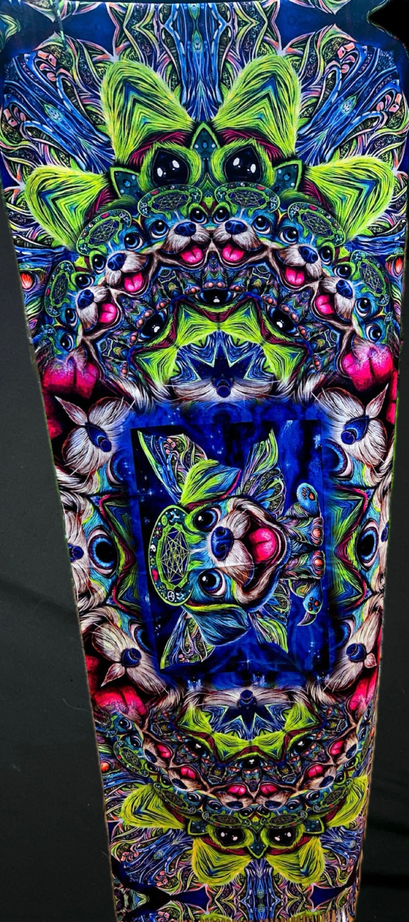 Space Pupperfly - Pashmina