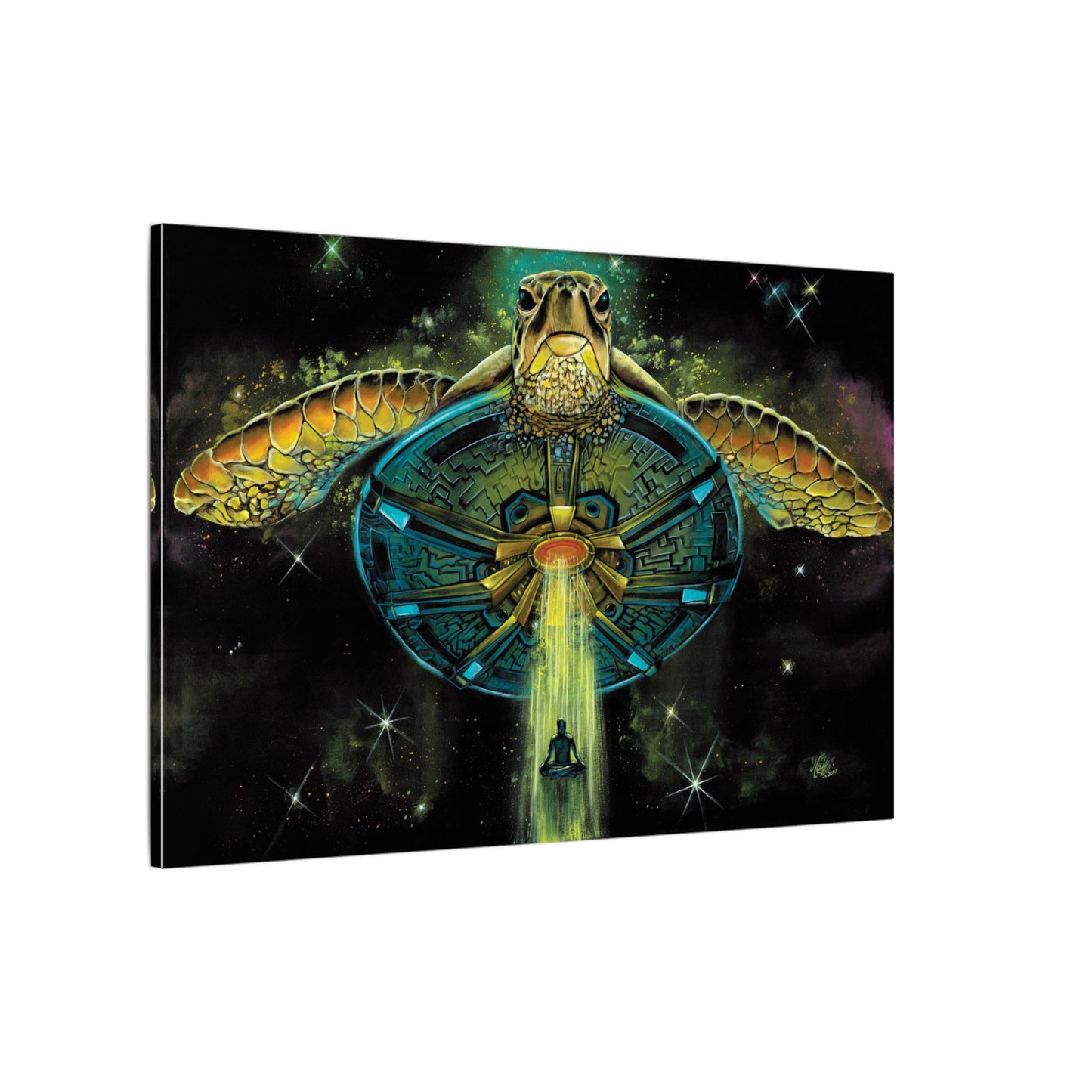 Turtle Abduction - Canvas Print