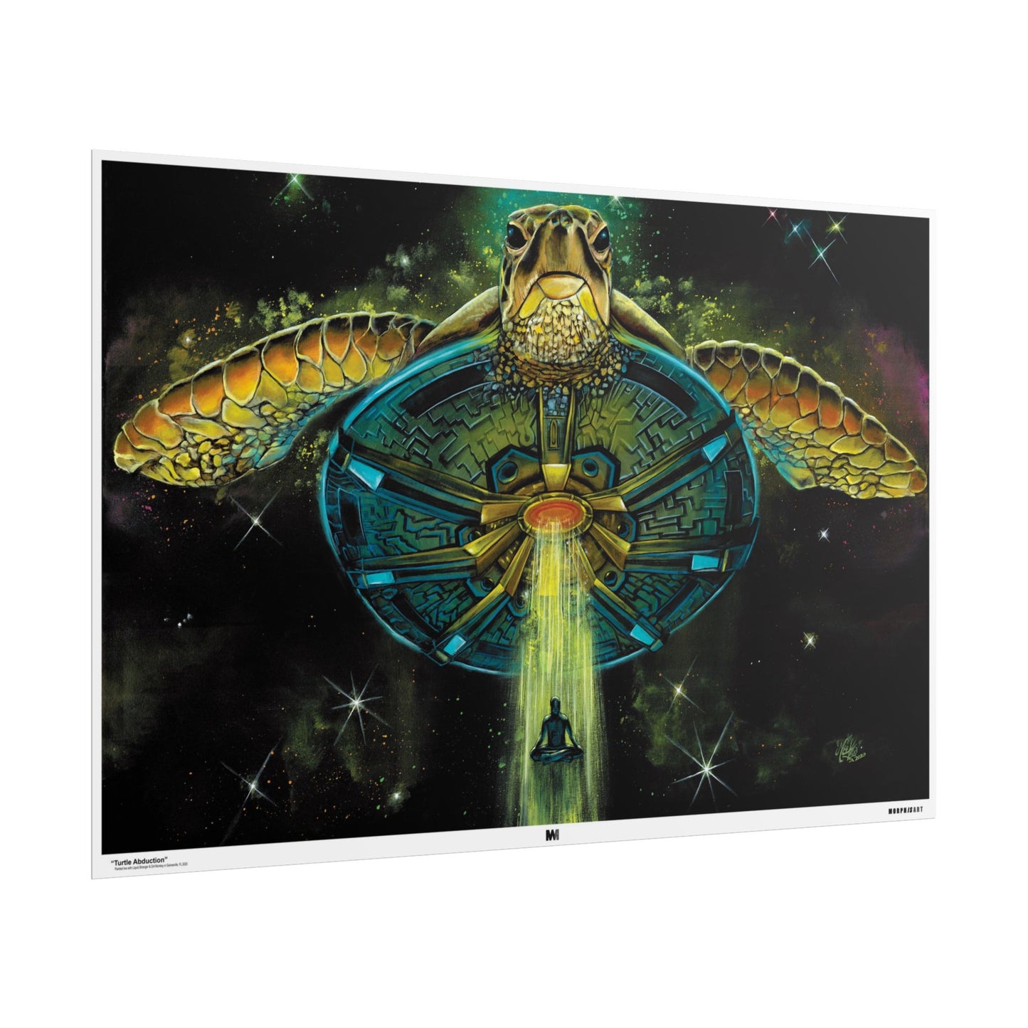 Turtle Abduction - Fine Art Prints