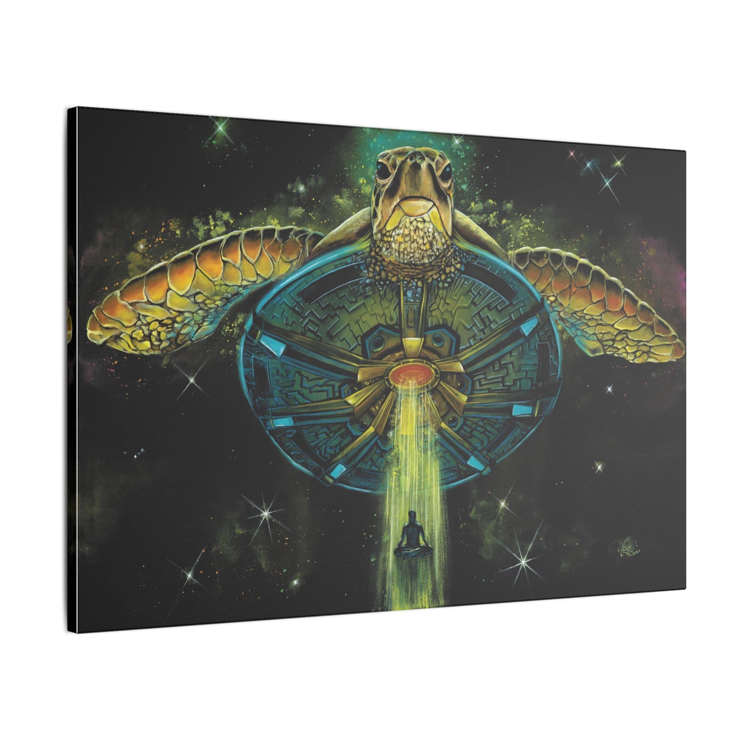 Turtle Abduction - Canvas Print