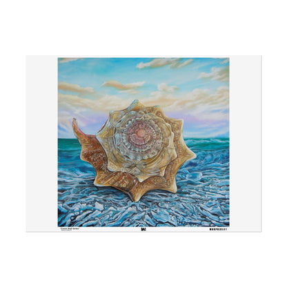 Conch Shell Vortex - Posters