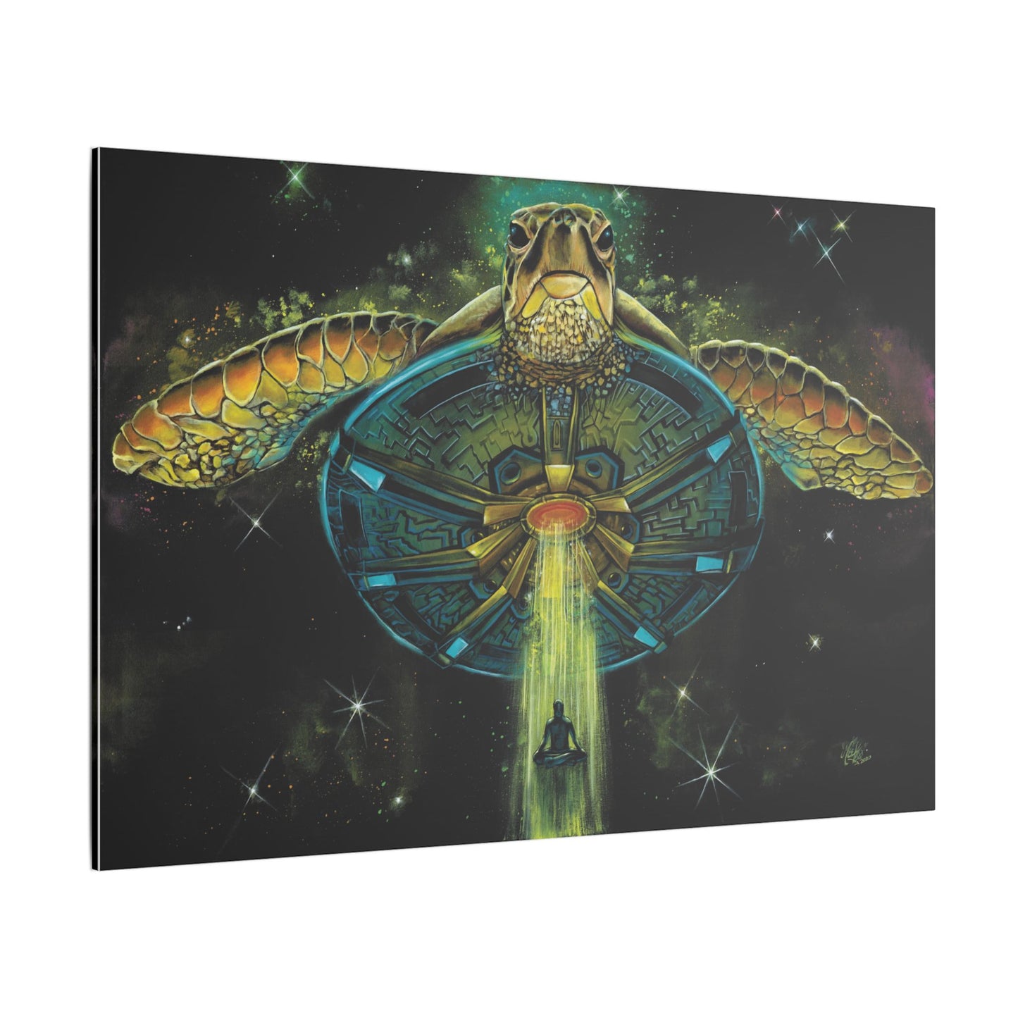 Turtle Abduction - Canvas Print