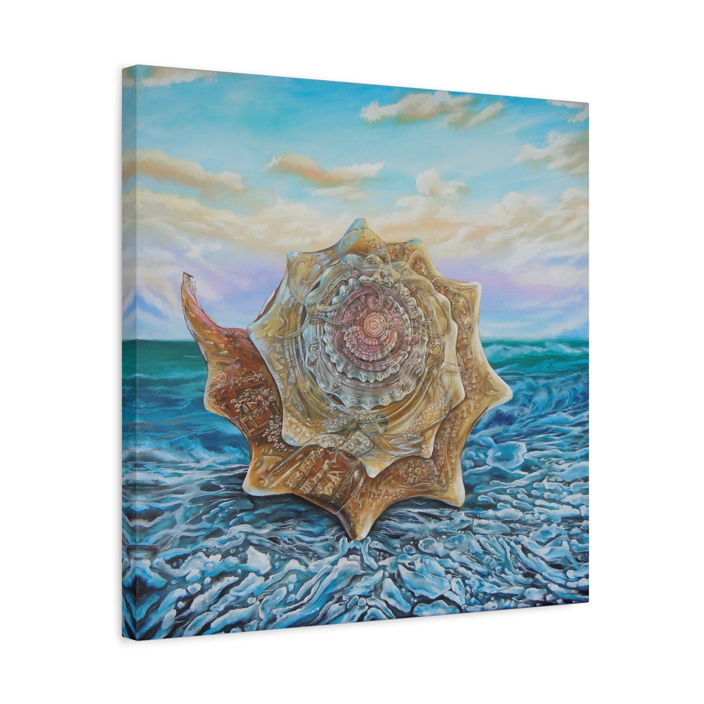 Conch Shell Vortex - Canvas Print