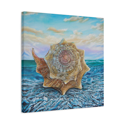 Conch Shell Vortex - Canvas Print