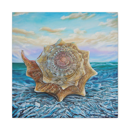 Conch Shell Vortex - Canvas Print