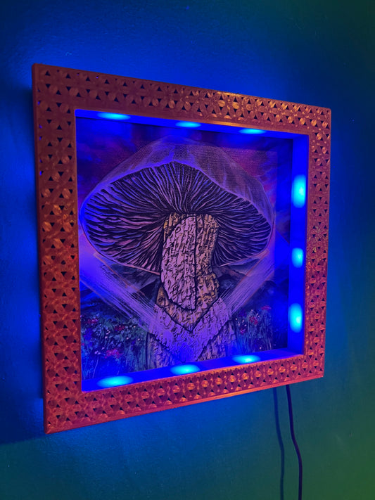 Morphis Art Light-Up Frame