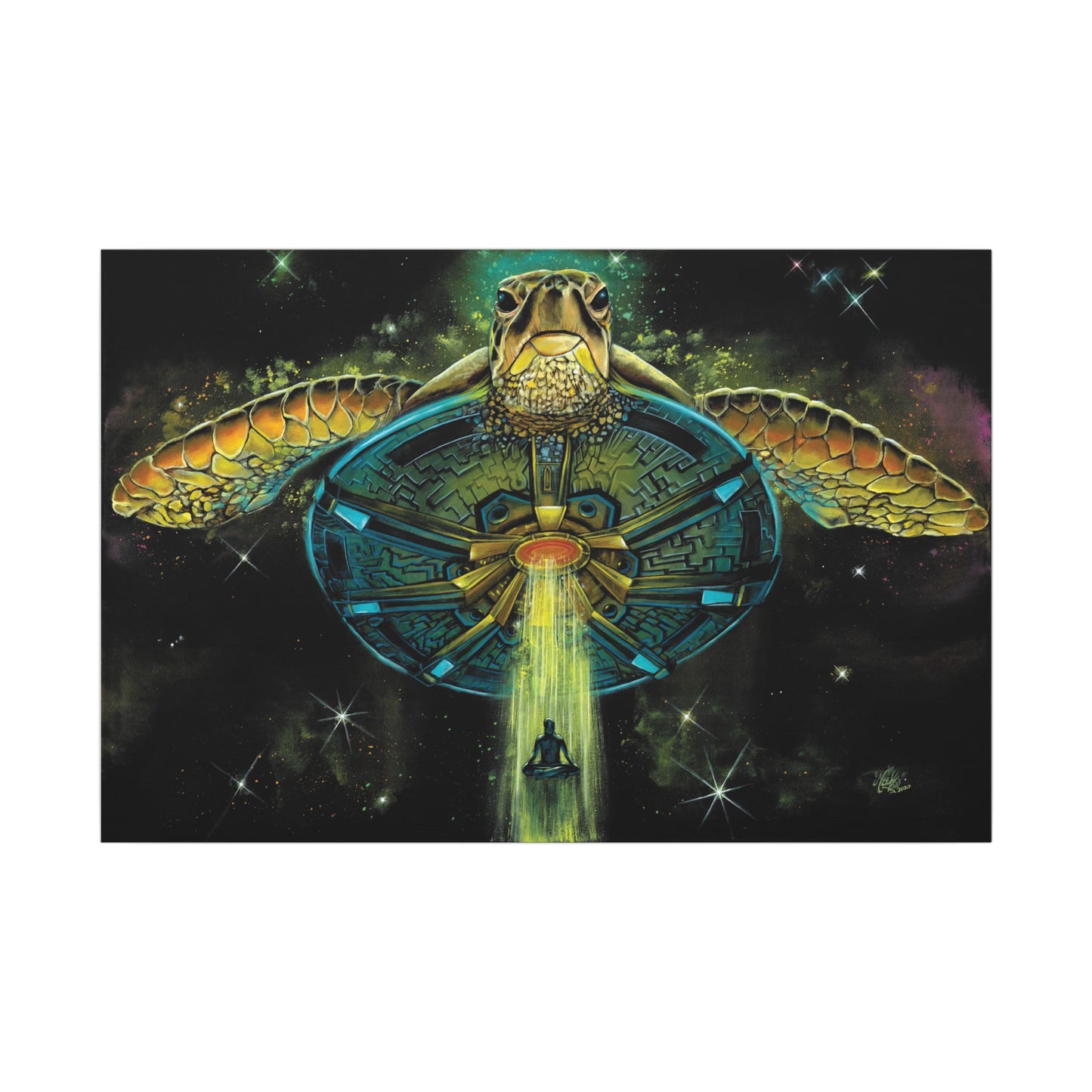 Turtle Abduction - Canvas Print