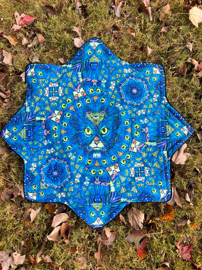 Flow Star: Kittyfly/Space Catterfly Variant