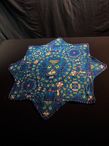 Flow Star: Kittyfly/Space Catterfly Variant