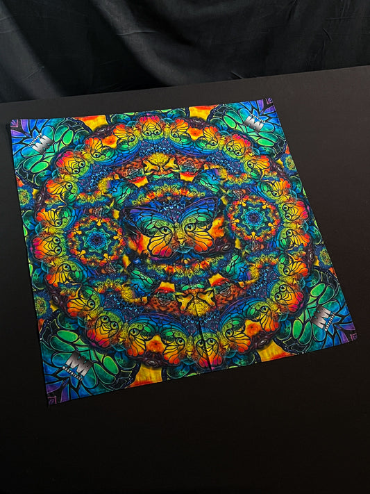 Space Catterfly - Bandana