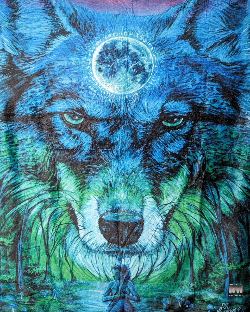 Moonlight Wolf Focus - Blanket