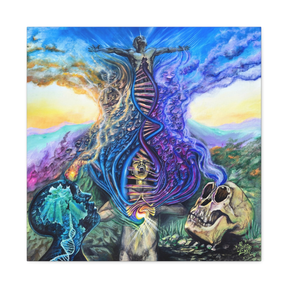 Evolutions canvas front view