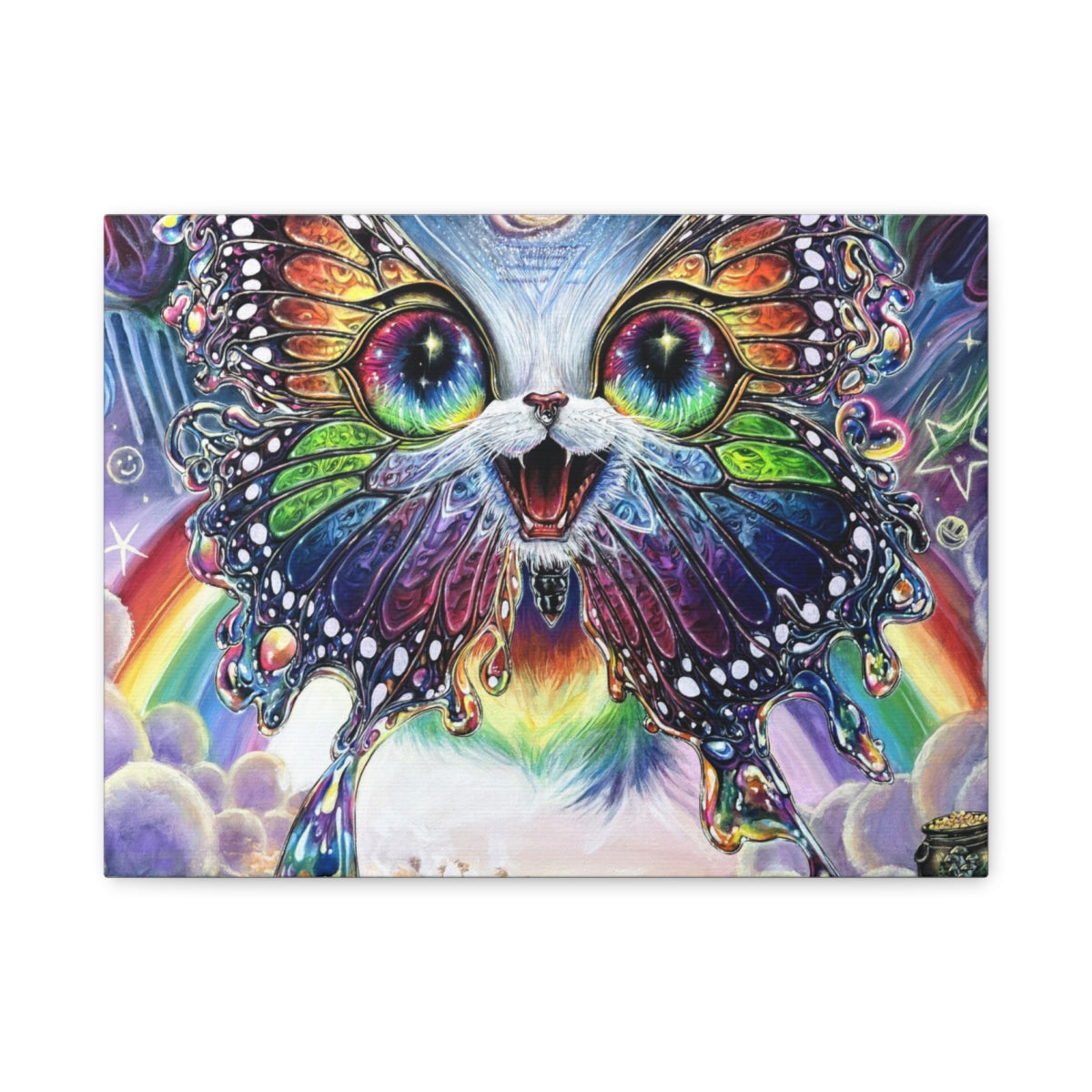 Rainbow Kitten Surprise canvas front view
