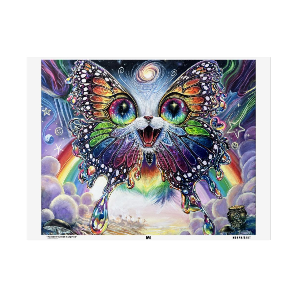 Rainbow Kitten Surprise poster front view