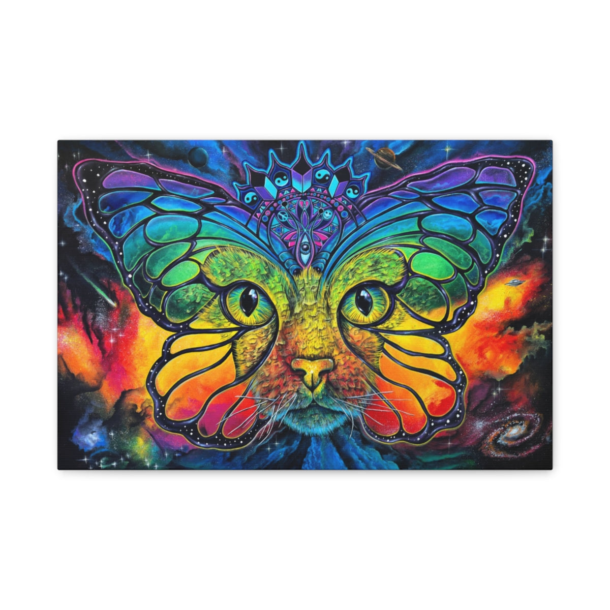 Space Catterfly canvas front view