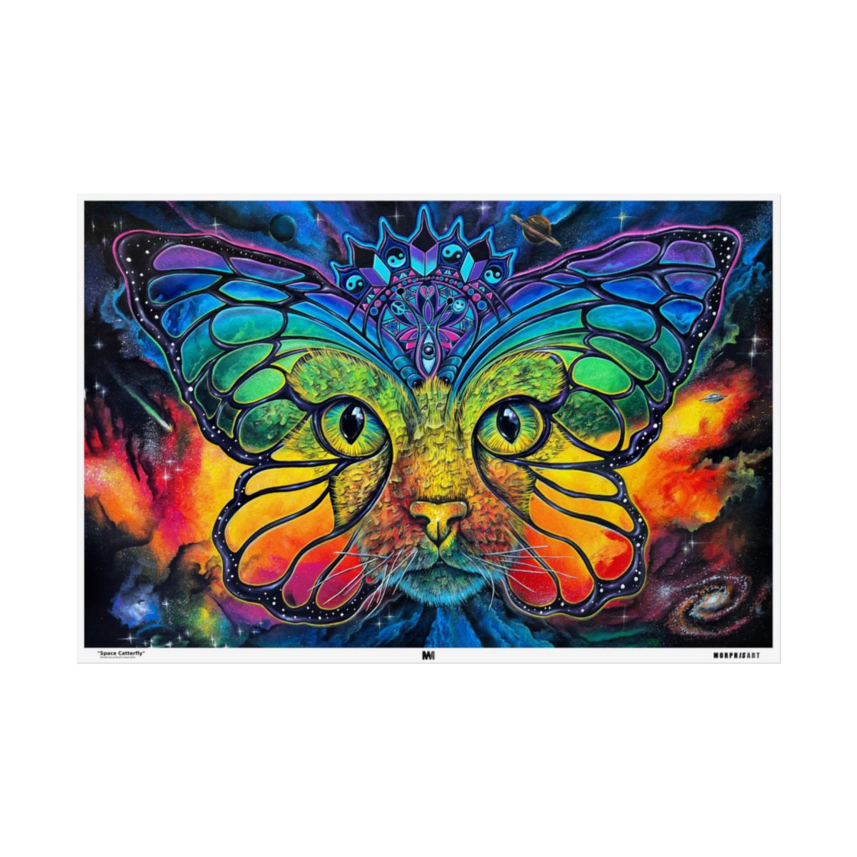 Space Catterfly poster front view