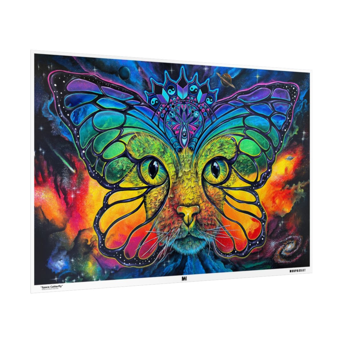 Space Catterfly poster side view