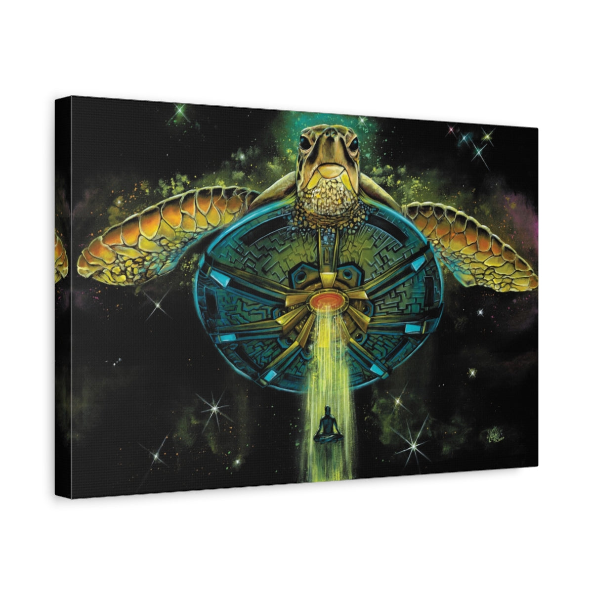 Turtle Abduction canvas side view