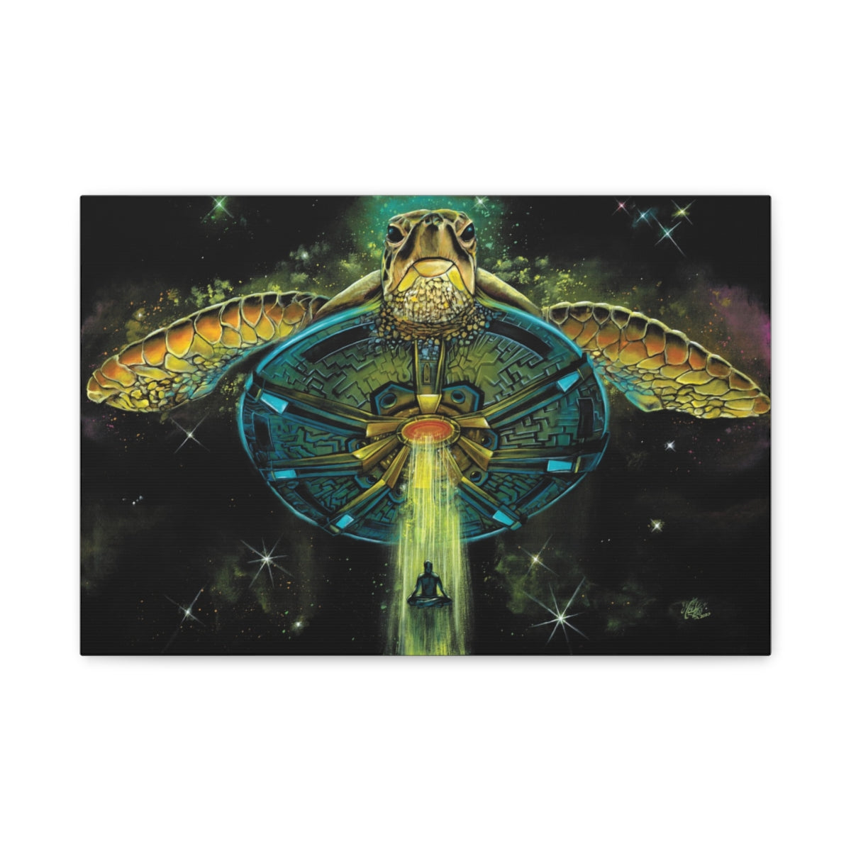 Turtle Abduction canvas front view