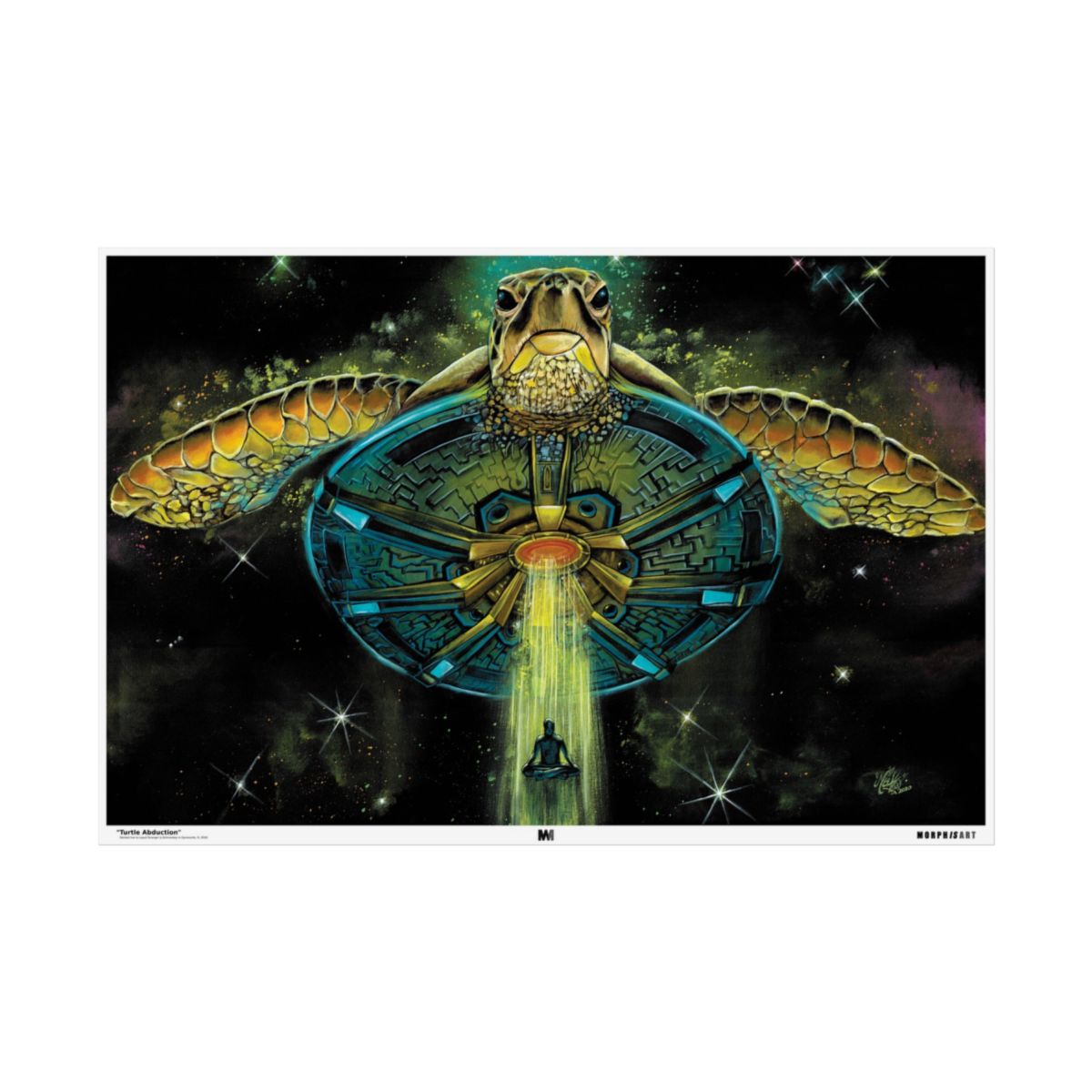 Turtle Abduction poster front view