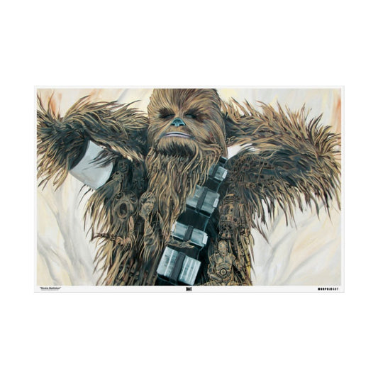 Wookie Meditation poster front view