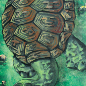 Stoned Turtle Painting by Morphis Art