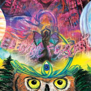 Electric Forest Tribute Poster Painting by Morphis Art